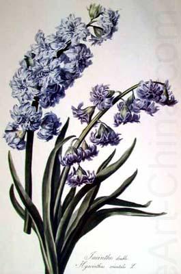 Hyacinth, Cornelis van Spaendonck Prints